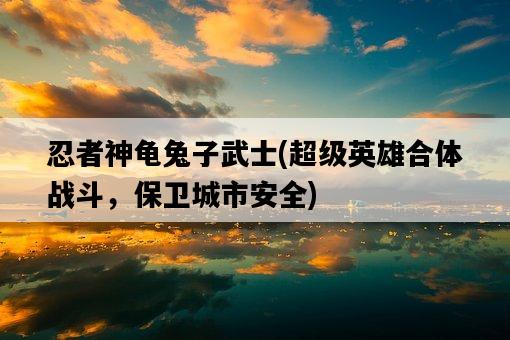忍者神龜兔子武士，超級英雄合體戰斗，保衛城市安全-圖1