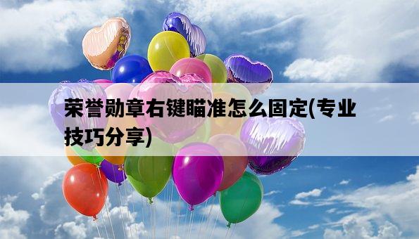 榮譽勛章右鍵瞄準怎么固定，專業技巧分享-圖1