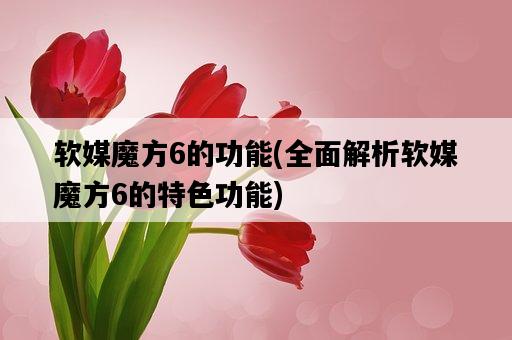 軟媒魔方6的功能，全面解析軟媒魔方6的特色功能-圖1