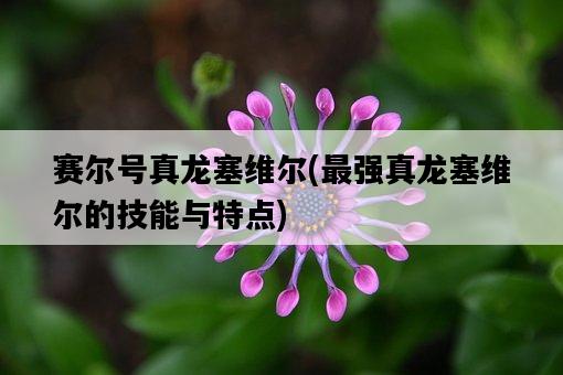賽爾號真龍塞維爾，最強真龍塞維爾的技能與特點-圖1