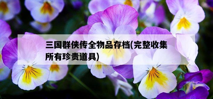 三國群俠傳全物品存檔，完整收集所有珍貴道具-圖1