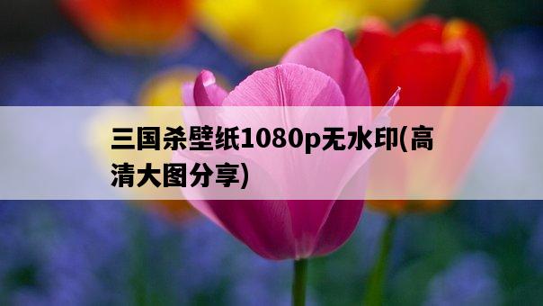 三國殺壁紙1080p無水印，高清大圖分享-圖1
