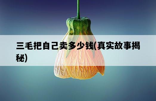 三毛把自己賣多少錢，真實故事揭秘-圖1