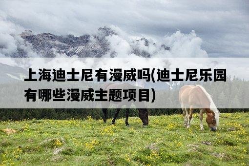 上海迪士尼有漫威嗎，迪士尼樂園有哪些漫威主題項目-圖1