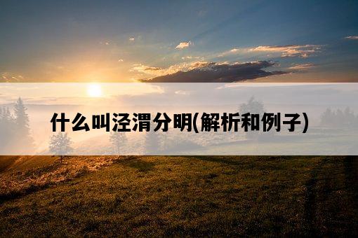 什么叫涇渭分明，解析和例子-圖1