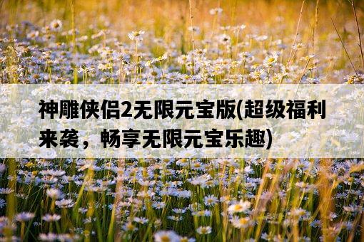 神雕俠侶2無限元寶版，超級福利來襲，暢享無限元寶樂趣-圖1