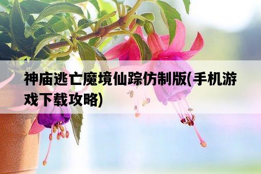 神廟逃亡魔境仙蹤仿制版，手機游戲下載攻略-圖1