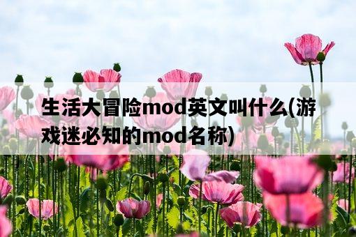 生活大冒險mod英文叫什么，游戲迷必知的mod名稱-圖1