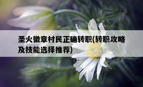 圣火徽章村民正確轉職，轉職攻略及技能選擇推薦-圖1