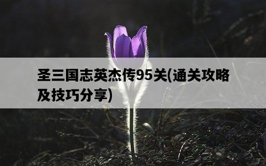 圣三國志英杰傳95關，通關攻略及技巧分享-圖1