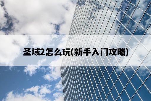 圣域2怎么玩，新手入門攻略-圖1