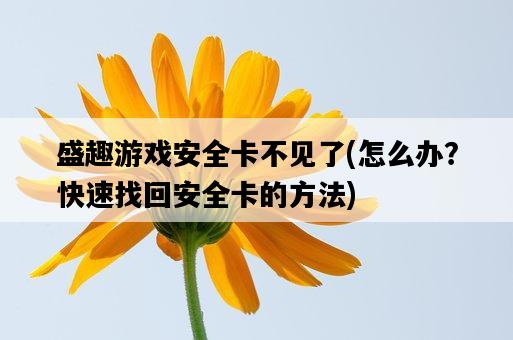 盛趣游戲安全卡不見了，怎么辦？快速找回安全卡的方法-圖1