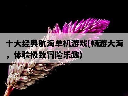 十大經典航海單機游戲，暢游大海，體驗極致冒險樂趣-圖1