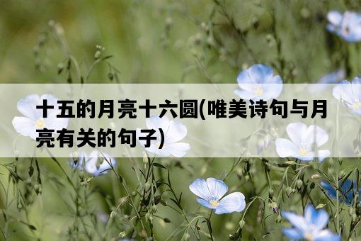 十五的月亮十六圓，唯美詩句與月亮有關的句子-圖1