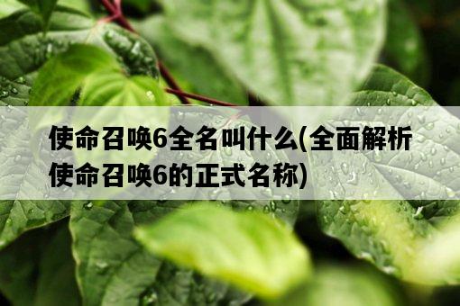 使命召喚6全名叫什么，全面解析使命召喚6的正式名稱-圖1