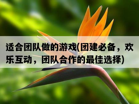 適合團隊做的游戲，團建必備，歡樂互動，團隊合作的最佳選擇-圖1