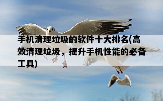 手機清理垃圾的軟件十大排名，高效清理垃圾，提升手機性能的必備工具-圖1
