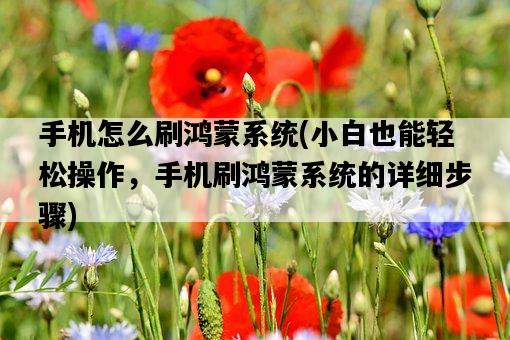 手機怎么刷鴻蒙系統，小白也能輕松操作，手機刷鴻蒙系統的詳細步驟-圖1