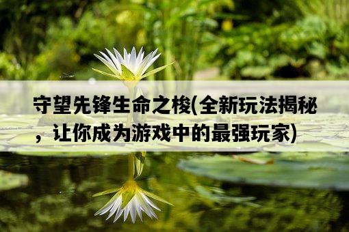 守望先鋒生命之梭，全新玩法揭秘，讓你成為游戲中的最強玩家-圖1