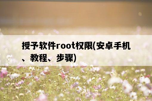 授予軟件root權限，安卓手機、教程、步驟-圖1