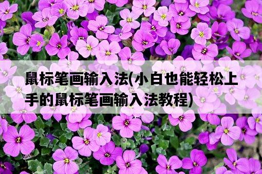鼠標筆畫輸入法，小白也能輕松上手的鼠標筆畫輸入法教程-圖1