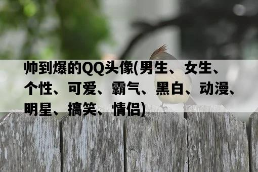帥到爆的QQ頭像，男生、女生、個性、可愛、霸氣、黑白、動漫、明星、搞笑、情侶-圖1