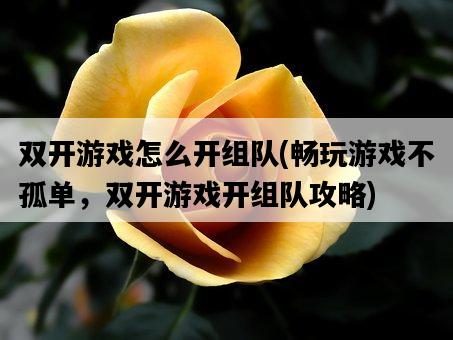 雙開游戲怎么開組隊，暢玩游戲不孤單，雙開游戲開組隊攻略-圖1
