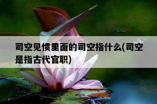 司空見慣里面的司空指什么，司空是指古代官職-圖1