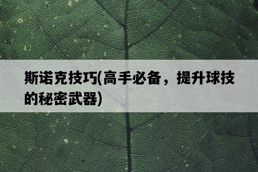 斯諾克技巧，高手必備，提升球技的秘密武器-圖1