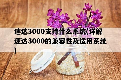 速達3000支持什么系統，詳解速達3000的兼容性及適用系統-圖1