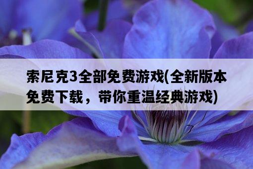 索尼克3全部免費游戲，全新版本免費下載，帶你重溫經典游戲-圖1