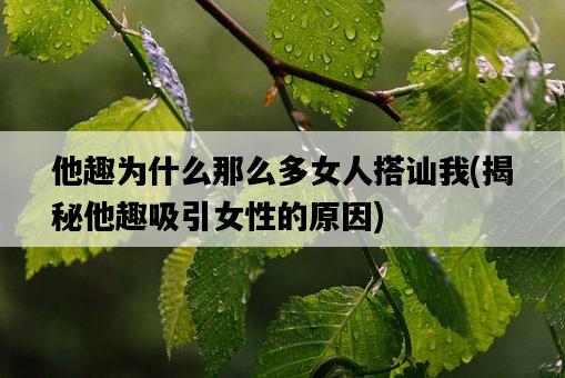 他趣為什么那么多女人搭訕我，揭秘他趣吸引女性的原因-圖1
