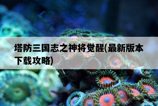 塔防三國志之神將覺醒，最新版本下載攻略-圖1