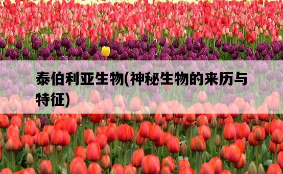 泰伯利亞生物，神秘生物的來歷與特征-圖1