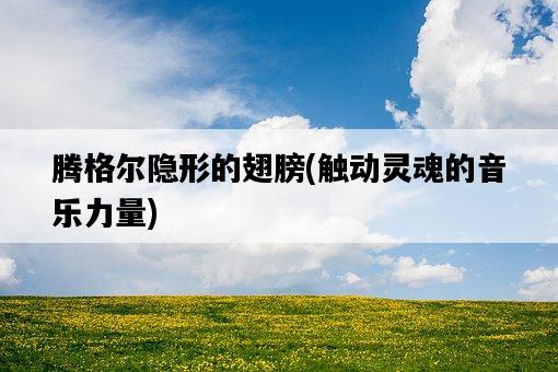 騰格爾隱形的翅膀，觸動靈魂的音樂力量-圖1