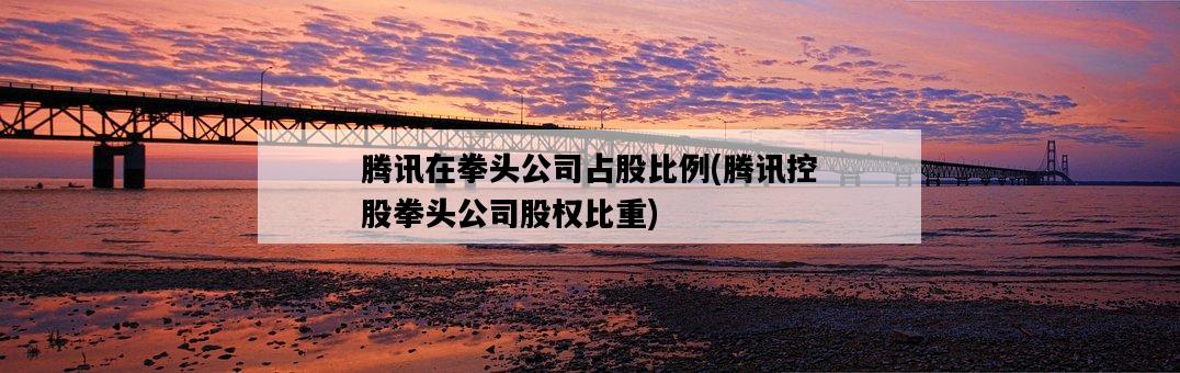 騰訊在拳頭公司占股比例，騰訊控股拳頭公司股權比重-圖1