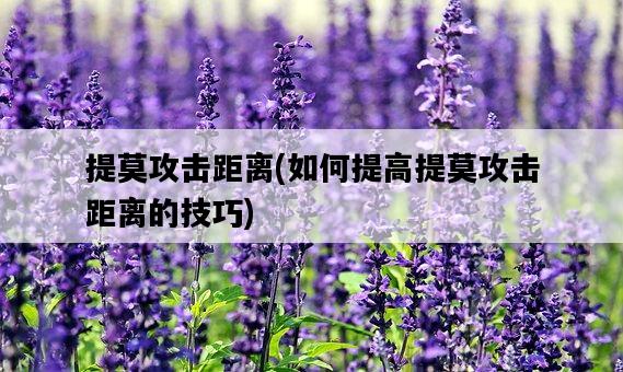 提莫攻擊距離，如何提高提莫攻擊距離的技巧-圖1