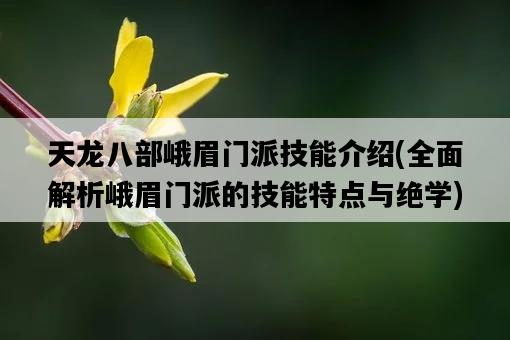天龍八部峨眉門派技能介紹，全面解析峨眉門派的技能特點與絕學-圖1