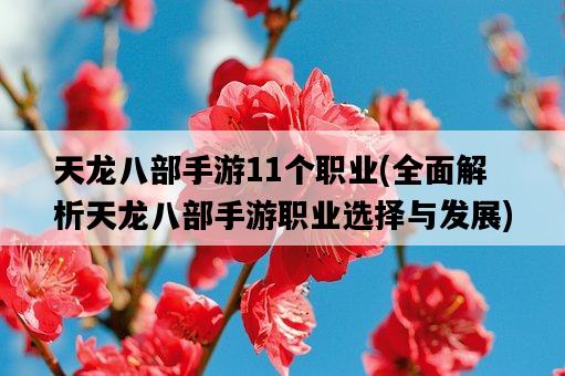 天龍八部手游11個職業，全面解析天龍八部手游職業選擇與發展-圖1