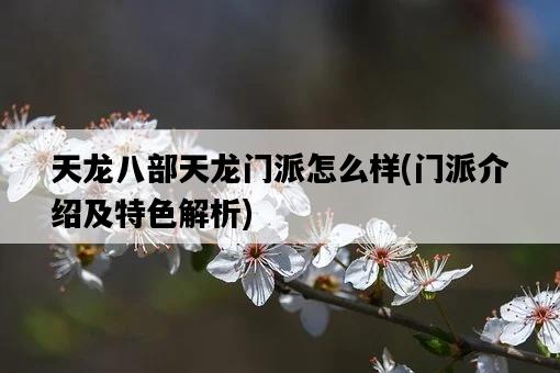 天龍八部天龍門派怎么樣，門派介紹及特色解析-圖1