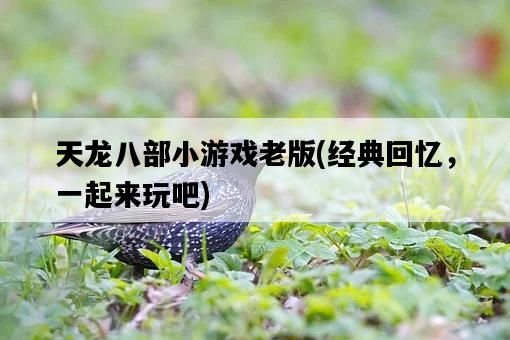 天龍八部小游戲老版，經典回憶，一起來玩吧-圖1