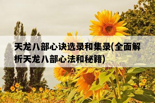 天龍八部心訣選錄和集錄，全面解析天龍八部心法和秘籍-圖1