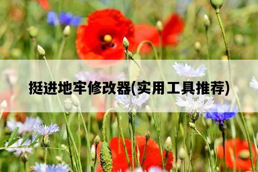 挺進地牢修改器，實用工具推薦-圖1