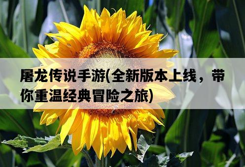 屠龍傳說手游，全新版本上線，帶你重溫經典冒險之旅-圖1