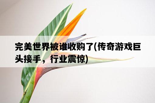 完美世界被誰收購了，傳奇游戲巨頭接手，行業震驚-圖1