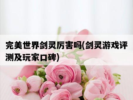 完美世界劍靈厲害嗎，劍靈游戲評測及玩家口碑-圖1