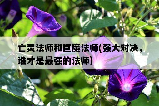 亡靈法師和巨魔法師，強大對決，誰才是最強的法師-圖1
