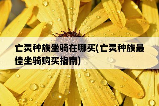 亡靈種族坐騎在哪買，亡靈種族最佳坐騎購買指南-圖1