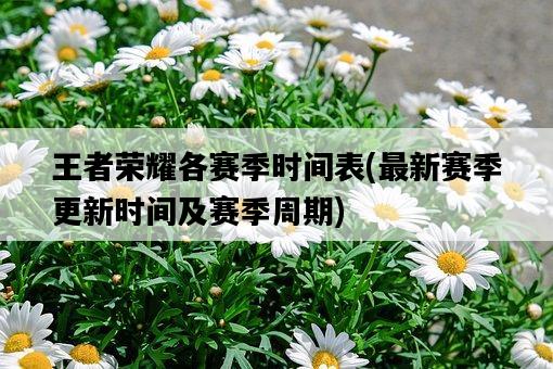 王者榮耀各賽季時間表，最新賽季更新時間及賽季周期-圖1