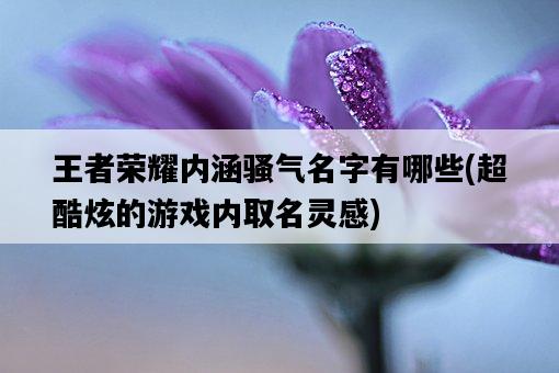 王者榮耀內涵騷氣名字有哪些，超酷炫的游戲內取名靈感-圖1